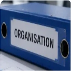 ICEGate DSC for Customs Filing